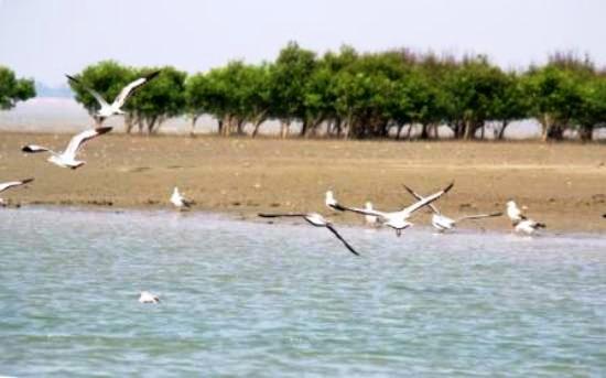 Jambu Dwip